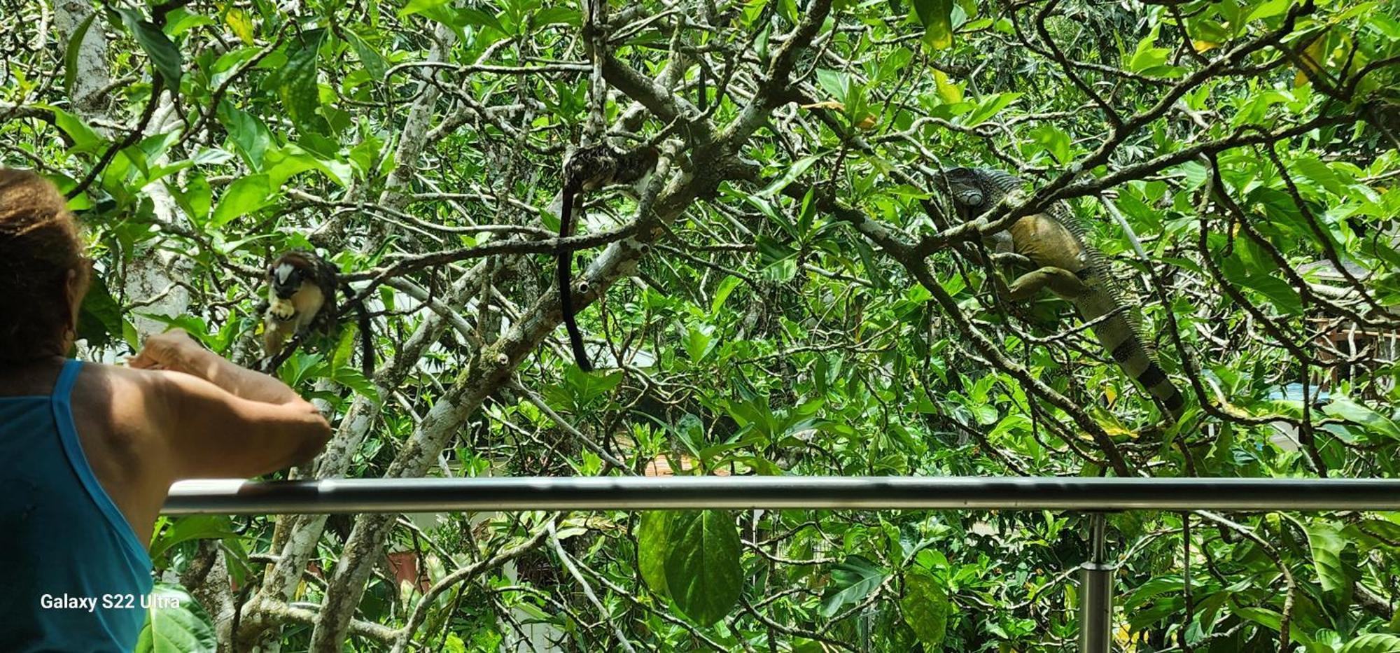 Gamboa Apartment Toucan Y Studio Neque 外观 照片